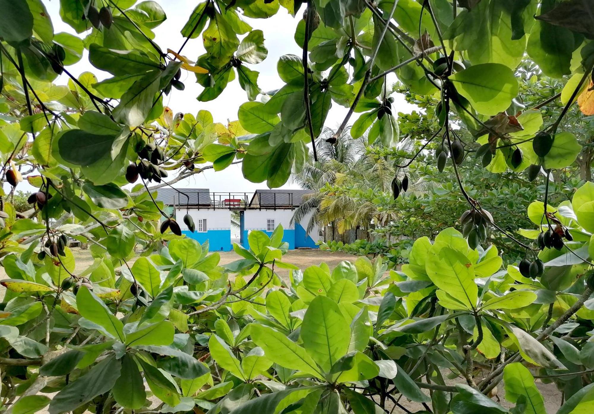 Afro Beach Eco Resort Butre Quarto foto