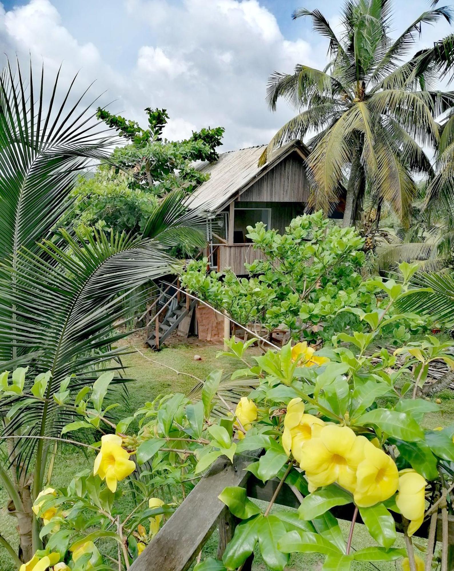 Afro Beach Eco Resort Butre Quarto foto