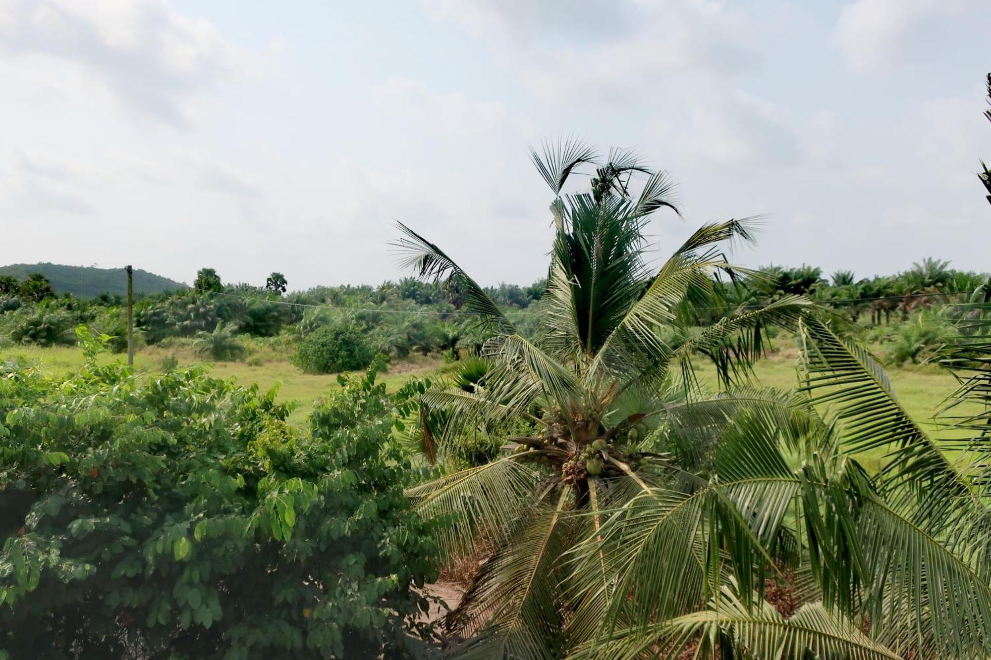 Afro Beach Eco Resort Butre Quarto foto