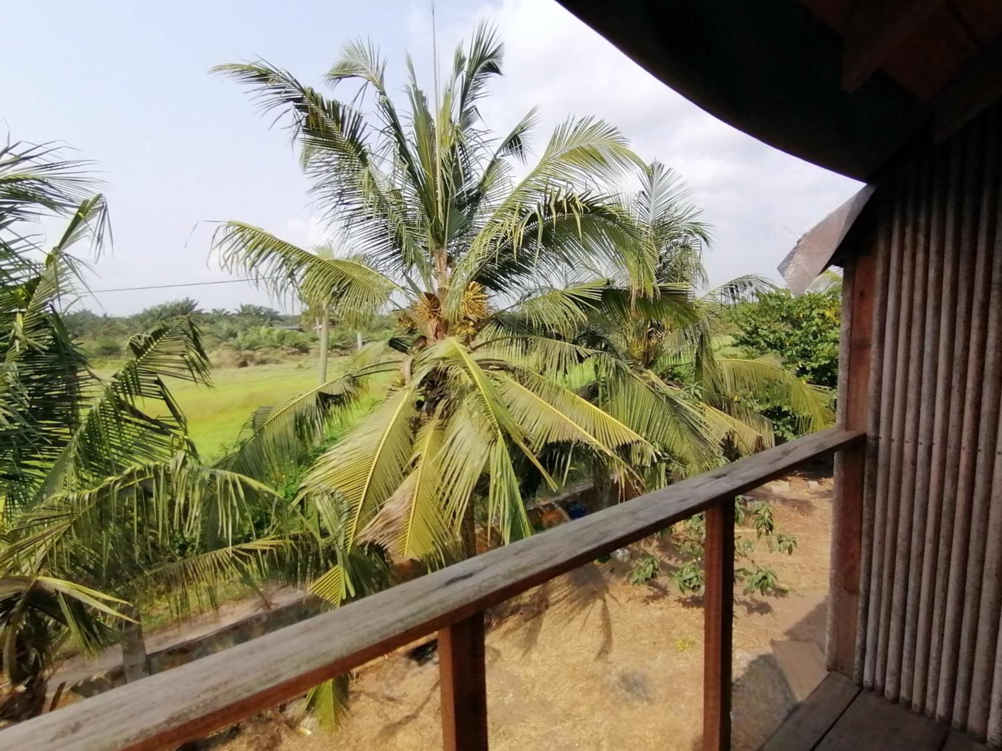Afro Beach Eco Resort Butre Quarto foto